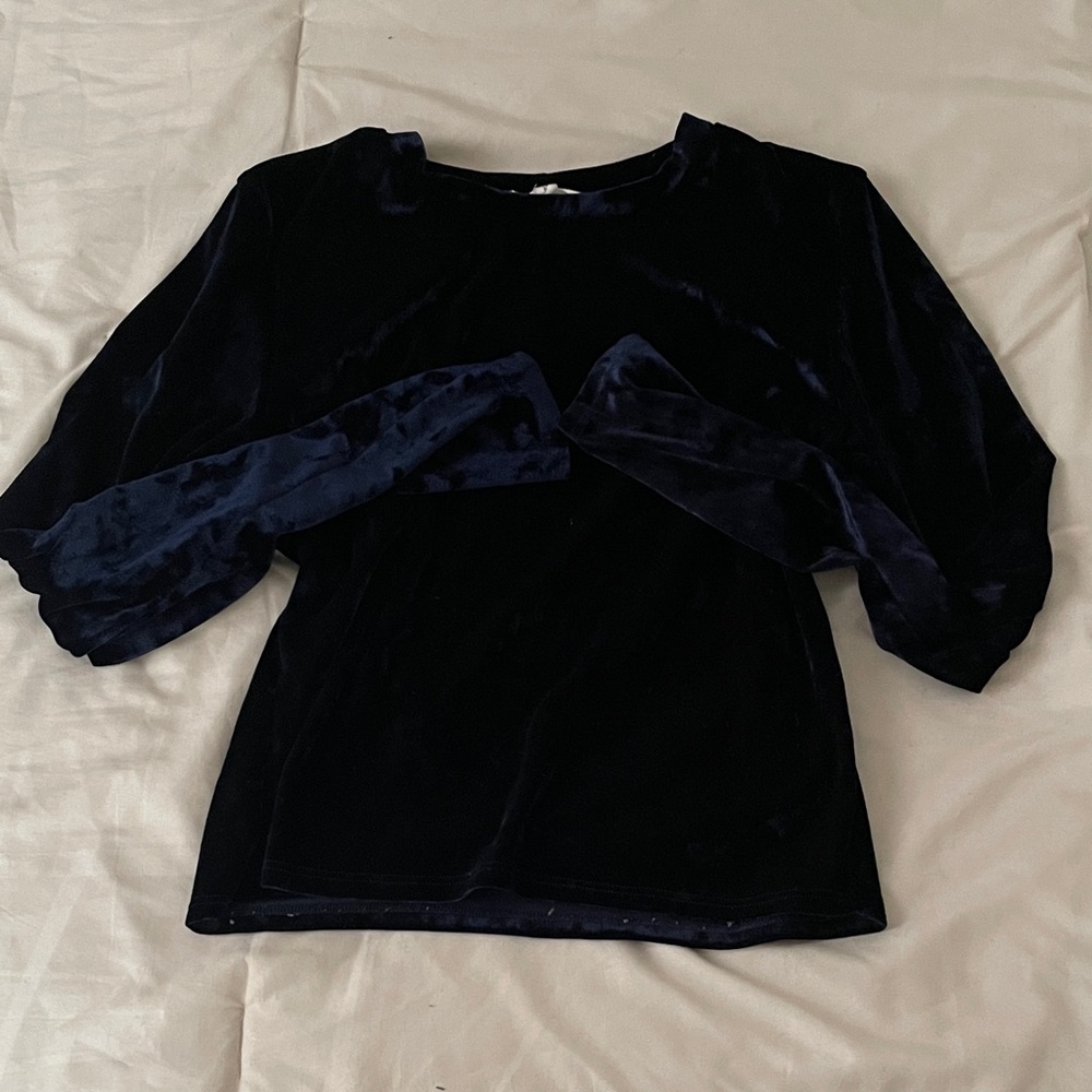 Rolla Coster Blue Velvet Blouse